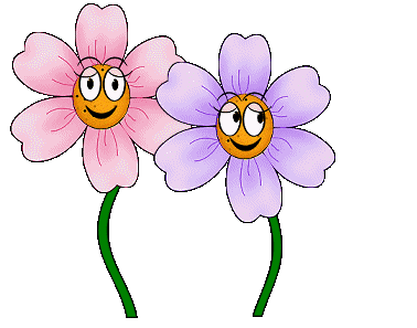 2 flowers