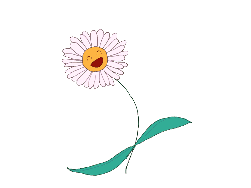 daisy