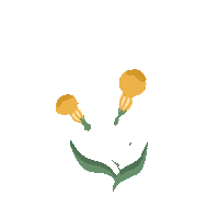 flower singing