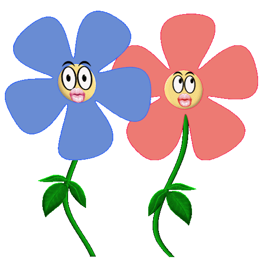 2 flowers