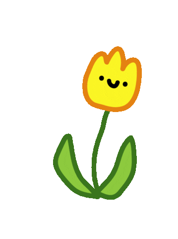 tulip